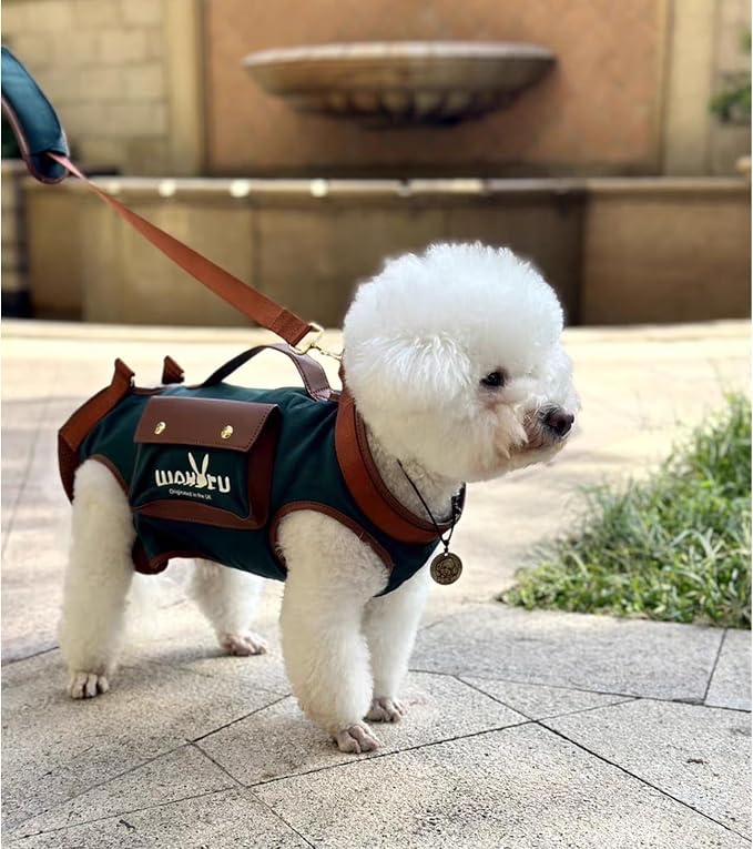 Wakytu Dog Lift Harness Dog Carrier Sling for Small Dogs & Cats,XS | stylish puppy sling carrier with handle & pocket,adjustable leash,walking & travel - Image 3