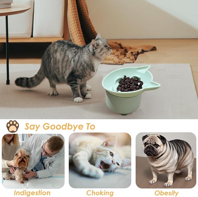 Elevated Cat Bowl, Silicone Dog Bowls for Food and Water, Wide Shallow Cat Food Dish, Whisker Fatigue, Lead & Cadmium Free, Great Height for Pet(Green) - Image 6