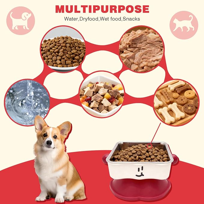 Elevated Cat & Small Dog Bowl - 30° Slanted Anti-Slip Feeding Bowl, Detachable Stainless Steel Design, Reduces Stomach Pressure, Comfortable Eating Posture, Easy to Clean, Fits Cats & Small Breeds - Image 6