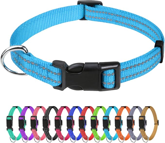 TagME Small Dog Collar, Reflective Puppy Collar, Sky Blue, 3/8" Width | Lightweight, Nylon Collar for Puppies, Chihuahua, Yorkie & Teacup Dogs 5-15 Lbs, Reflective for Evening Walks, 12 Colors by TagME