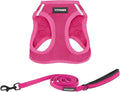 Best Pet Supplies Voyager Step-in Air All Weather Mesh Harness and Reflective Dog 5ft Leash Combo with Neoprene Handle, for Small, Medium and Large Breed Puppies - Fuchsia, Small by BestPetSuppliesLLC