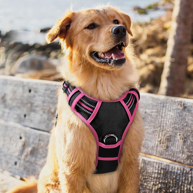 rabbitgoo Dog Harness for Large, No Pull 3 Buckles Easy On & Off | Soft Padded, Walking with Control Handle, Adjustable and Reflective, Black & Pink, X-Large - Image 8