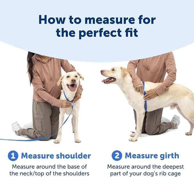 PetSafe Easy Walk Comfort No Pull Dog Harness, Green Gingham, Large | Stops Pulling on First Use with Front Martingale Loop, Padded Comfort, 5-Point Adjustable Fit - Image 5