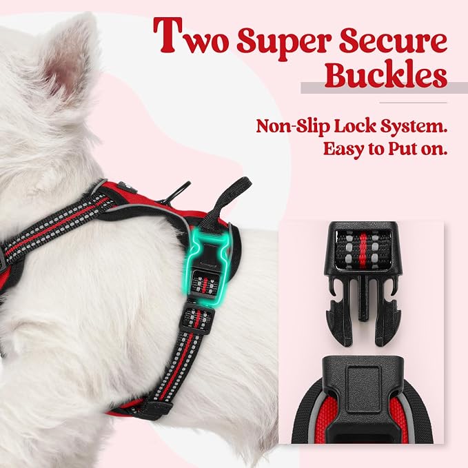 rabbitgoo Dog Harness, No Pull for Small Dogs with 2 Leash Clips, Pet Vest | No Choke, Adjustable, Breathable Padded, 2 Lead Rings, Reflective, Easy Control for Walking Training, XS, Red - Image 3