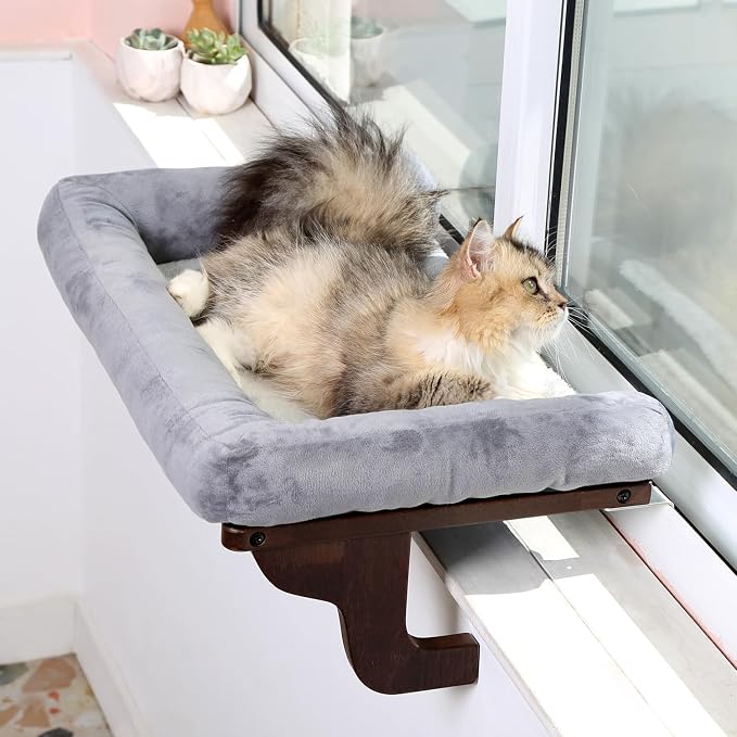 Zakkart Cat Perch for Window Sill with Bolster - Orthopedic Hammock Design with Premium Hardwood & Robust Metal Frame - Cat Window Seat for Large Cats and Kittens - Dark Stained Wood Gray Bed, 24''W by Zakkart
