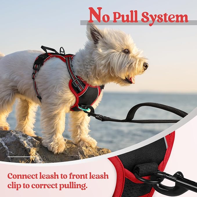 rabbitgoo Dog Harness, No Pull for Small Dogs with 2 Leash Clips, Pet Vest | No Choke with Handle, Adjustable Soft Padded, Reflective, Easy Control for Walking, Black & Red, X-Small - Image 5