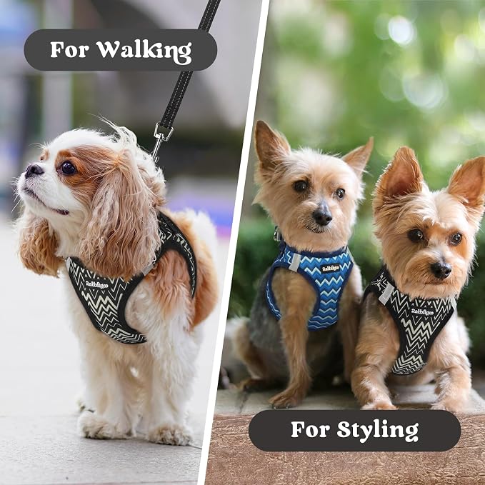 rabbitgoo Step-in Small Dog Harness, Puppy Vest for Small Sized Pet | Easy Put on and off, Lightweight, Soft, Breathable Quick-Dry Air Mesh for Comfortable Secure Walking, Black Zigzag XS - Image 9