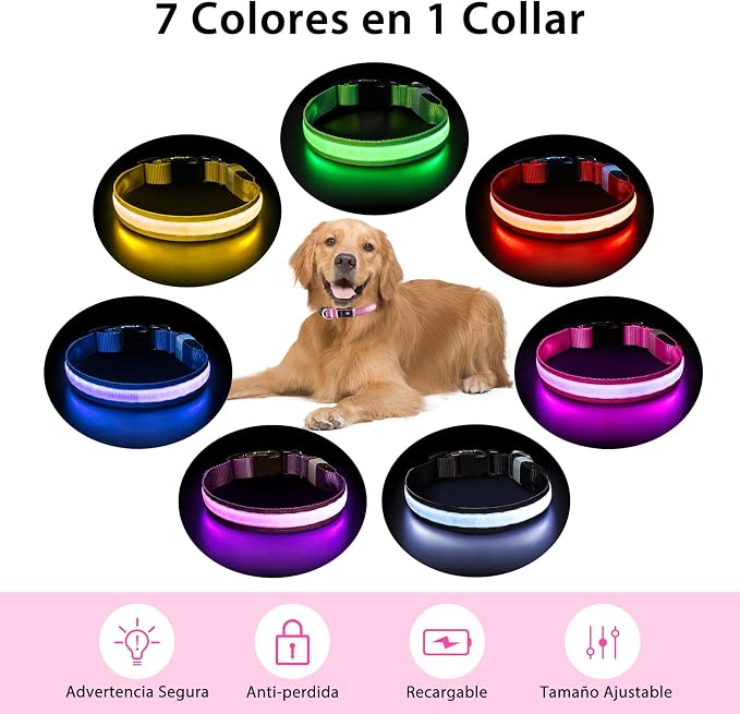 PcEoTllar Light up Dog Collar, Safe for Night Walking, Adjustable, Pink, M | Colorful RGB Light, Waterproof, For Small Medium and Large Dogs, Durable Material, USB to Charge - Image 2