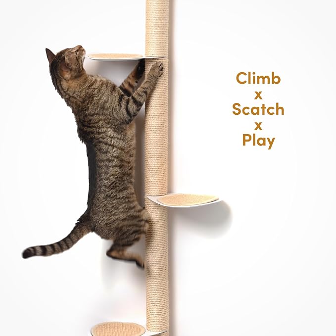 68" Tall Wall-Mounted Cat Tree – Modern Space-Saving Cat Shelf with Sisal Scratching Post & Steel Climbing Steps – Stylish Cat Wall Furniture for Small Spaces - Image 5