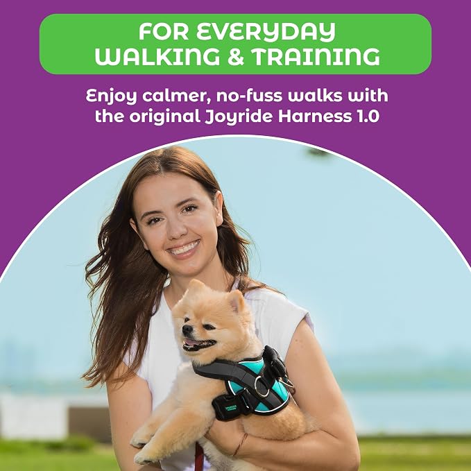 Joyride Basic Dog Harness 1.0 | Teal Ocean | S | Adjustable pet vest with 3 side leash rings for training, walking and improved control for small, medium or large dogs - Image 6
