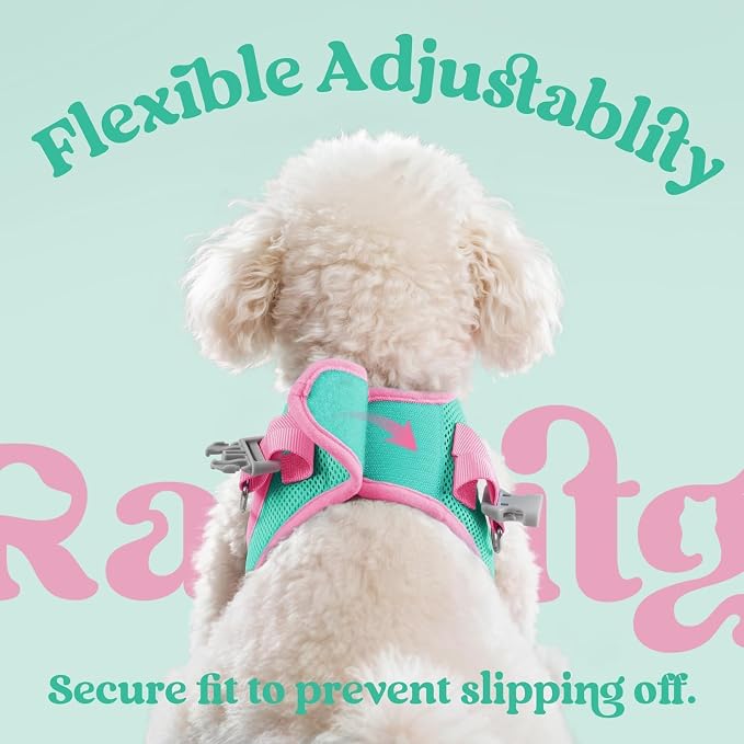rabbitgoo Dog Harness Small Sized and Leash Set, Step in Soft Vest | Breathable Mesh, Easy Wear with Hook & Loop, Light and Reflective for Walking, Multi-colored, Teal & Pink, XXS - Image 6
