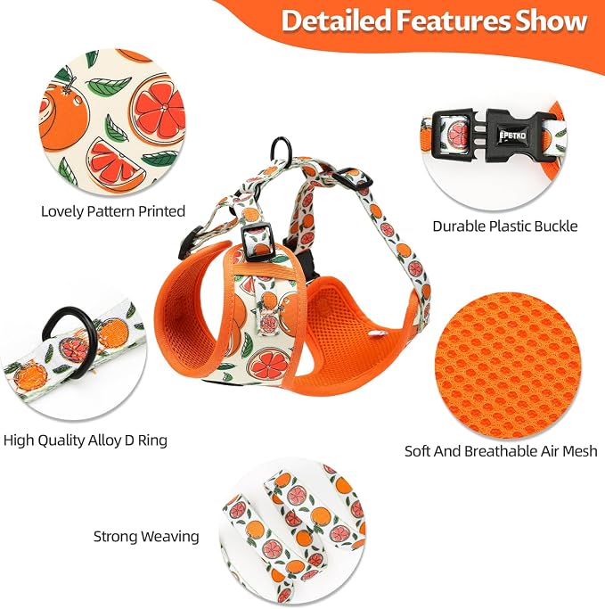 Small Dog Harness and Leash Set of 6, No Pull Soft Lightweight Mesh Puppy Harness， Adjustable Cute Floral Pattern Pet Harness for Small Medium Dogs (Orange, L) - Image 3