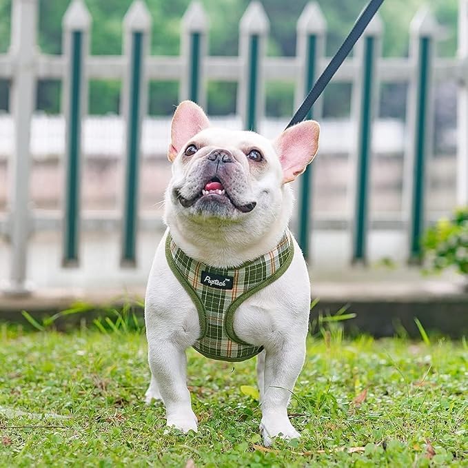 PUPTECK Small Dog Harness and Leash Set No Pull for XS XXS Sized Dogs Puppy | Escape Proof No Choke Pet Cat Adjustable Soft Padded Walking Vest - Image 6