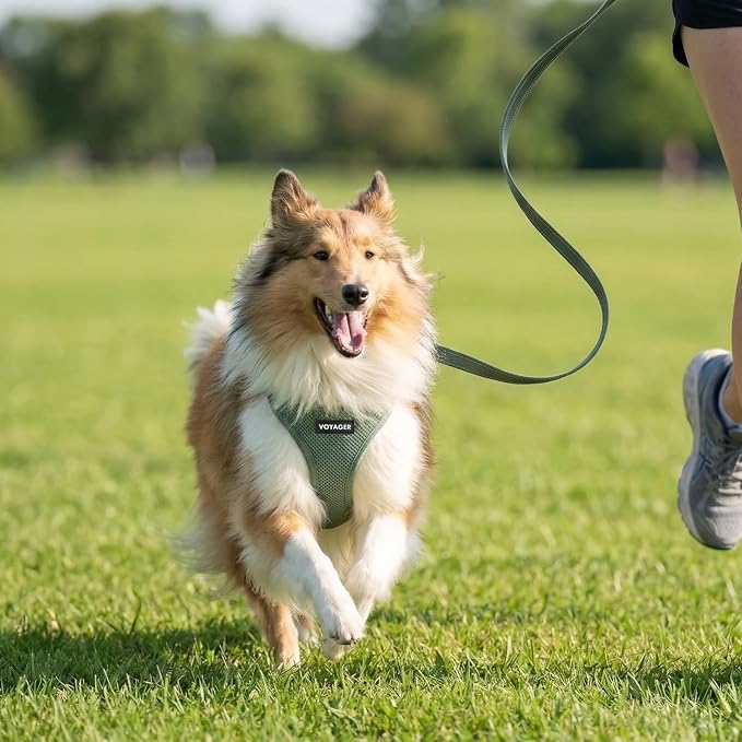 Best Pet Supplies Voyager Step-in Air All Weather Mesh Harness and Reflective Dog 5ft Leash Combo with Neoprene Handle, for Small, Medium and Large Breed Puppies - Moss Green, X-Small - Image 7