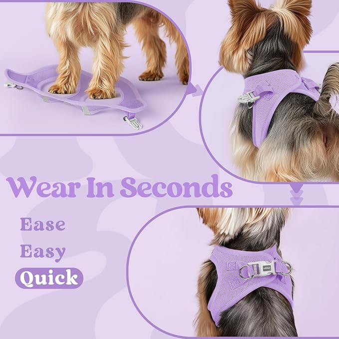 rabbitgoo Step-in Small Dog Harness, Puppy Vest for Medium Sized Pet | Easy Put on and off, Lightweight, Soft, Breathable Quick-Dry Air Mesh for Comfortable Secure Walking, Light Purple XXL - Image 6