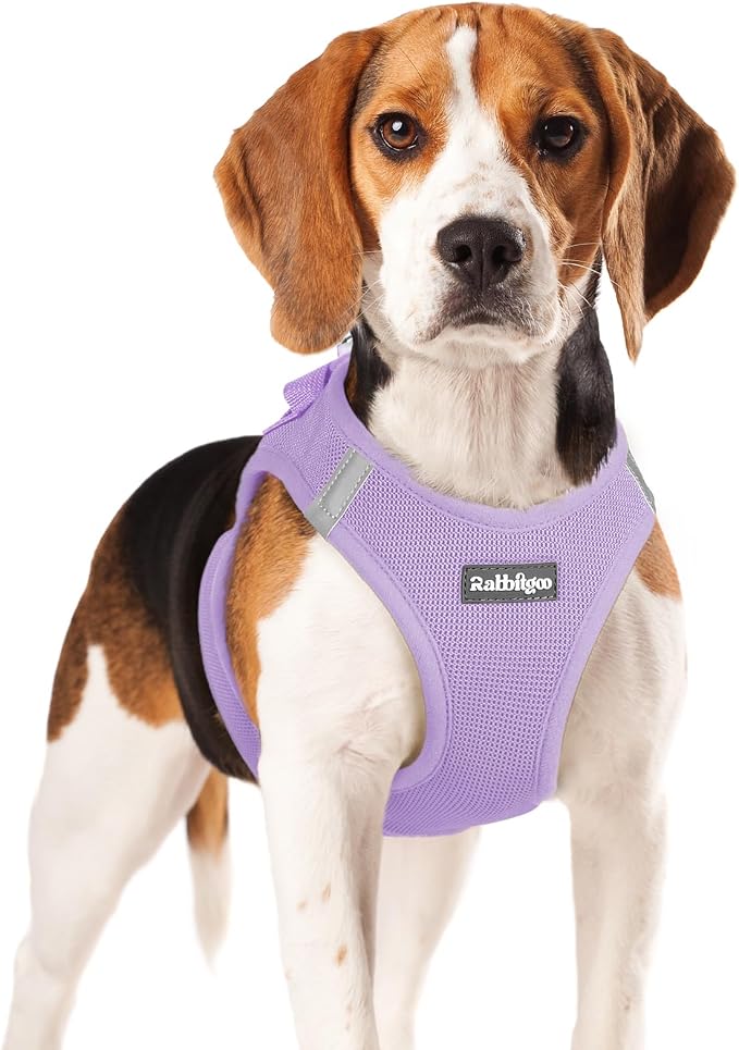 rabbitgoo Step-in Small Dog Harness, Puppy Vest for Small Medium Sized Pet | Easy Put on and off, Lightweight, Soft, Breathable Quick-Dry Air Mesh for Comfortable Secure Walking, Light Purple XL by rabbitgoo