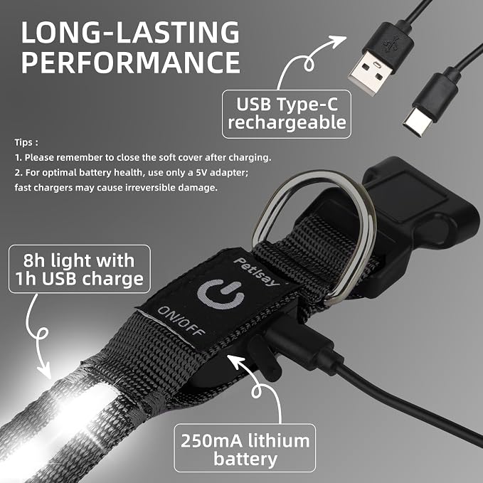 Super Bright LED Dog Collar, Waterproof Light up Collars(White, Medium) | Lighted Dog Collar with Adjustable Fit, Soft Nylon Comfort, USB-C Rechargeable, Glow in the Dark Visibility for Night Walks - Image 8