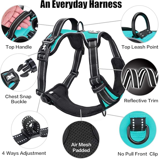 PoyPet No Pull Dog Harness Small, Reflective Vest with Front Clip & Handle | Easy On/Off, No Choke, Adjustable, 2 Leash D-rings, Soft Padded, Breathable, Oxford, for Walking Training, XS, Mint Blue - Image 8