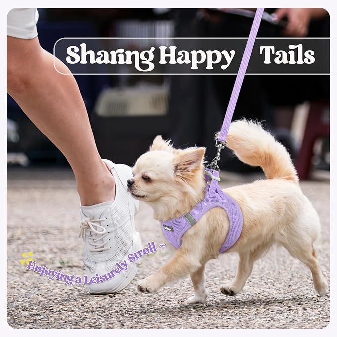 rabbitgoo Dog Harness Medium Sized and Leash Set, Step-in Puppy Pet Vest | Light, Soft, Breathable Air Mesh, Easy on and Remove with Hook & Loop, Secure Reflective for Walking, Light Purple XXL - Image 9