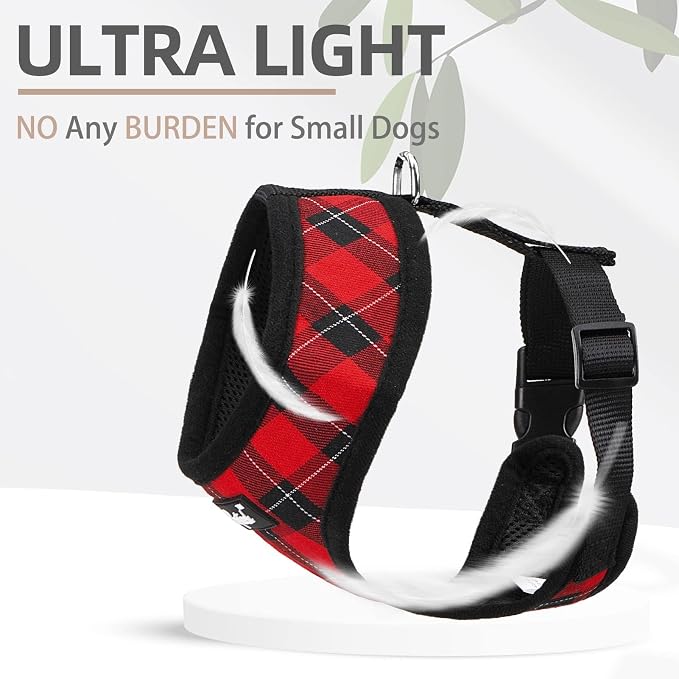 PUPTECK Small Dog Harness and Leash Set No Pull for XS XXS Sized Dogs Puppy | Escape Proof No Choke Pet Cat Adjustable Soft Padded Walking Vest - Image 5