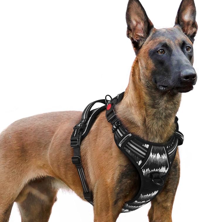 rabbitgoo Dog Harness for Large, Updated Easy On & Off with 3 Buckles | No Pull No Choke, Walking with 2 Clips and Handle, Adjustable Soft Reflective, Mountain Black, X-large by rabbitgoo