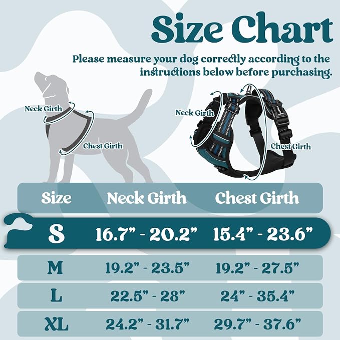 rabbitgoo Dog Harness Small Sized, Updated Easy On & Off with 3 Buckles | No Pull No Choke, Walking with 2 Clips and Handle, Adjustable Soft Reflective, Blue Coral, Small - Image 2