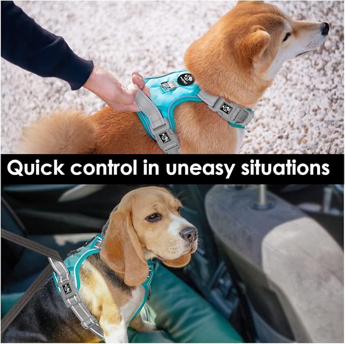 No Pull Dog Harness, Unique Colors Reflective Adjustable Dog Vest | with Soft Training Handle Metal Clips for Small Medium Large Dogs (Mint Green Base & Grey Straps,M) - Image 5