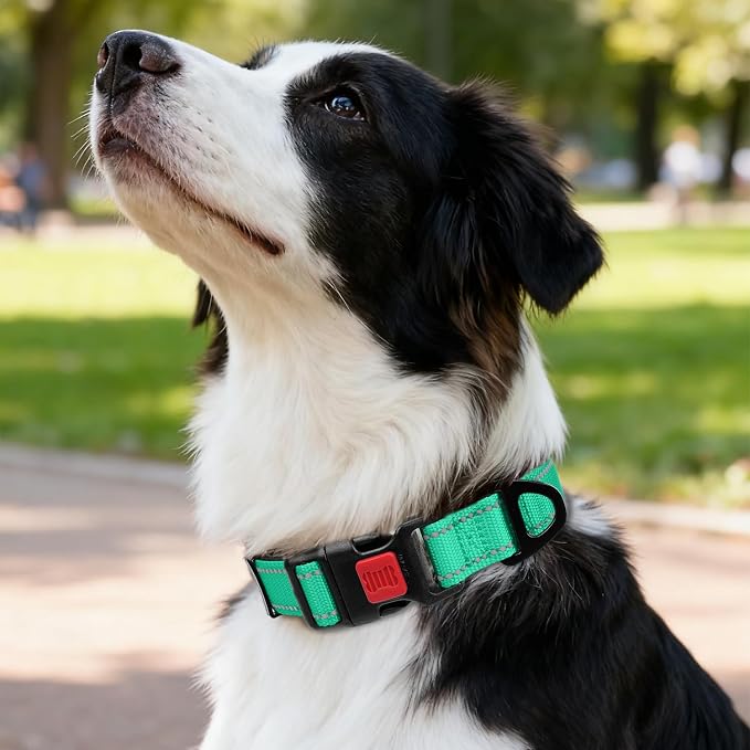Taglory Reflective Dog Collar for Medium Dogs, Soft and Safe for Daily Walk | Soft Neck Cushioning, Adjustable 14-20 in, Sturdy Webbing Withstands Strong Pullers, Zinc Alloy D-Ring for Leash and ID Tags - Image 2