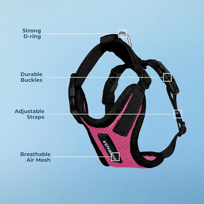 Voyager Step-in Lock Dog Harness - Fuchsia/Black Trim, Large | 20 - 25" in Chest, Adjustable, Breathable Air Mesh, Lightweight for Daily Walks, Strong Clips, Heavy Duty D-Ring - Image 4