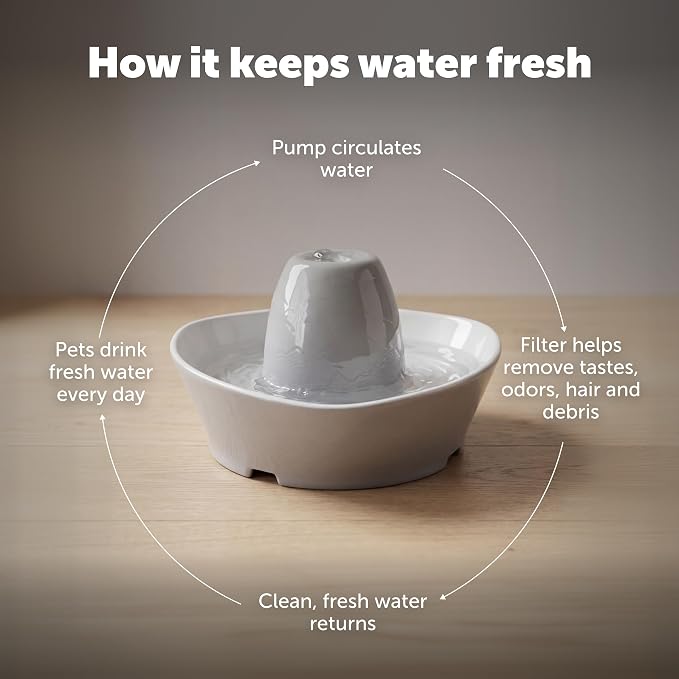 PetSafe Creekside Ceramic Pet Fountain, 60 Oz, Extra Filters | 60 Oz Capacity, Whisper-Quiet Flow, Includes 12 Extra Carbon & 2 Extra Foam Filters, Dishwasher Safe, Cats & Small Dogs - Image 8