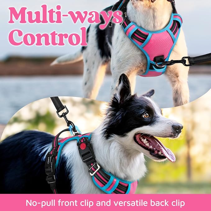 rabbitgoo Dog Harness for Large, No Pull 3 Buckles Easy On & Off | Soft Padded, Walking with Control Handle, Adjustable and Reflective, Pink & Blue, X-Large - Image 3