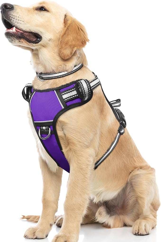 Dog Harness No Pull, Pet Harnesses with Dog Collar, Adjustable Reflective Oxford Outdoor Vest, Front/Back Leash Clips for Small, Medium, Large, Extra Large Dogs, Easy Control Handle for Walking by WINSEE