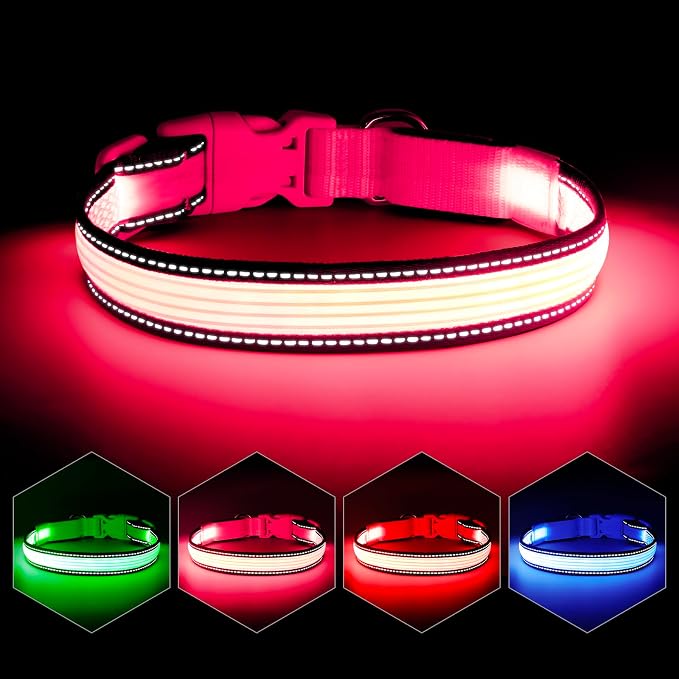 LED Dog Collar, Dog Light Up Collar,for Night Walking (Medium, Pink-2) | Full Adjustable,Waterproof,Nylon,Soft,Super Bright Light Collars for Small Medium and Large Dogs,USB C to Charge by YFbrite
