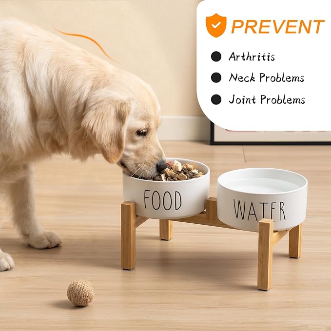 Elevated Ceramic Dog Bowls Set - Food & Water Lettering Raised Dog Bowl with Non-Slip Bamboo Stand for Cats and Small Dogs, Weighted Dogs Dishes Pet Bowls (5.1 inch, 2 * 16oz, White) - Image 6
