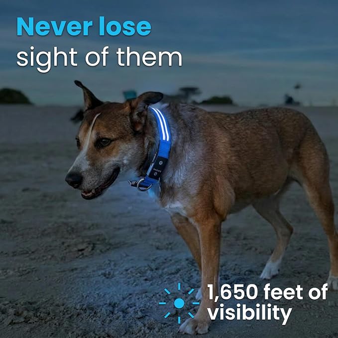 Tractive LED Light Up Dog Collar USB Rechargeable Waterproof (Blue) - Image 2