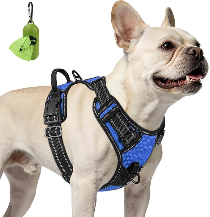Joytale No Pull Dog Harness for Small Dogs, Front Clip, Navy Blue | Grab Handle for Instant Control, Padded & Adjustable Vest, Sturdy Metal D-Rings, for Safe Training & Daily Walking by Joytale