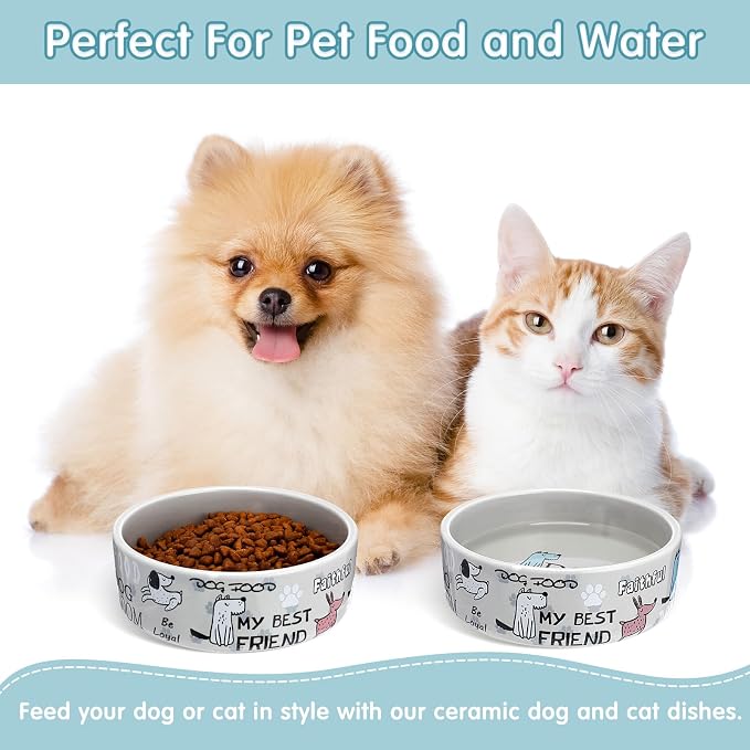 Maxcheck 2 Pcs 5 Inch Ceramic Dog Bowls Dishes for Small Dogs Cute Cartoon Pattern Puppy Cat Bowls Heavy Food Water Dishes for Pets Feeding Travel, Dishwasher Safe Microwave Safe (Gray) - Image 5