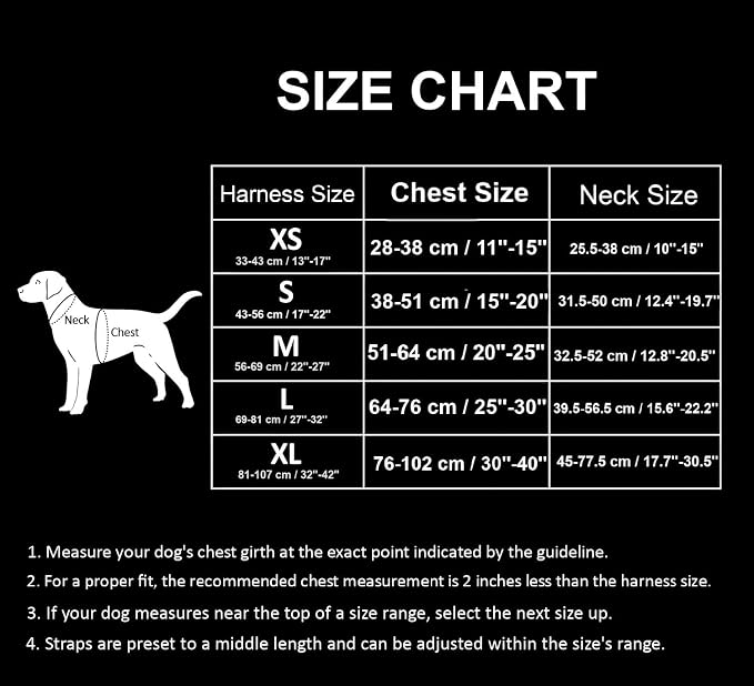 TRUE LOVE Adjustable No-Pull Dog Harness Reflective Vest, Blue, S | Front Clip, No-Choke, Soft Padded, Control Handle, Anti Escape, Dog Car Harness, Walking and Training, Escape Proof, TLH5651 - Image 3