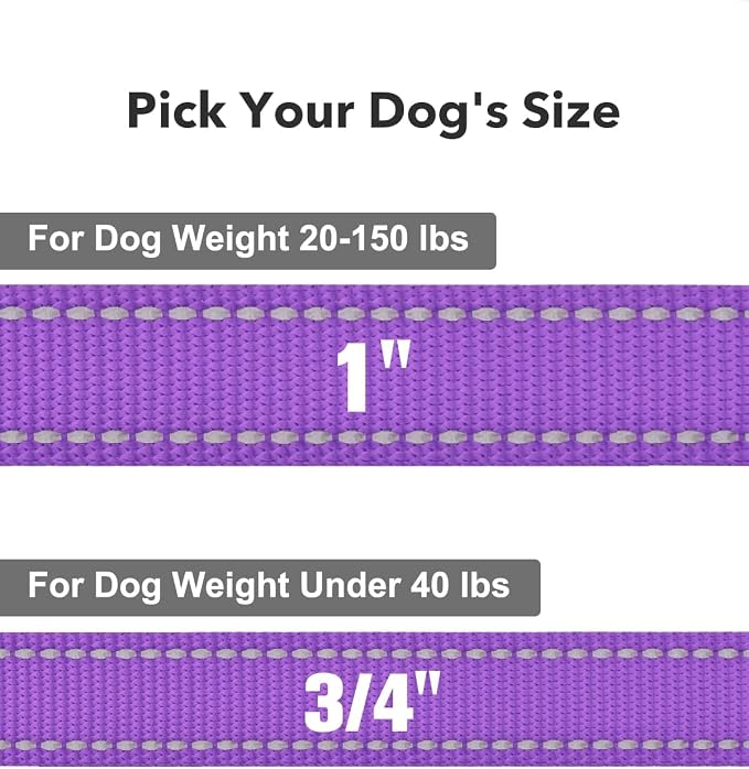 Taglory Reflective Dog Leash for Medium Large Dogs, 1in x 6ft, Purple | Ideal for Night Walking, Strong for Sudden Pulls, Lightweight & Gentle on the Neck, Soft Padded Handle - Image 4