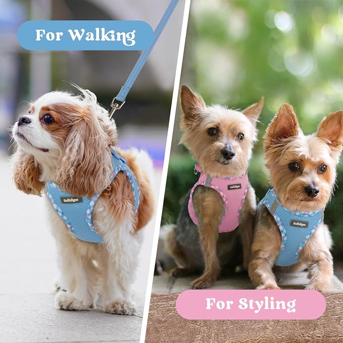 rabbitgoo Step-in Small Dog Harness, Puppy Vest for Small Sized Pet | Easy Put on and off, Lightweight, Soft, Breathable Quick-Dry Air Mesh for Comfortable Secure Walking, Blue & Plaid Trim S - Image 9