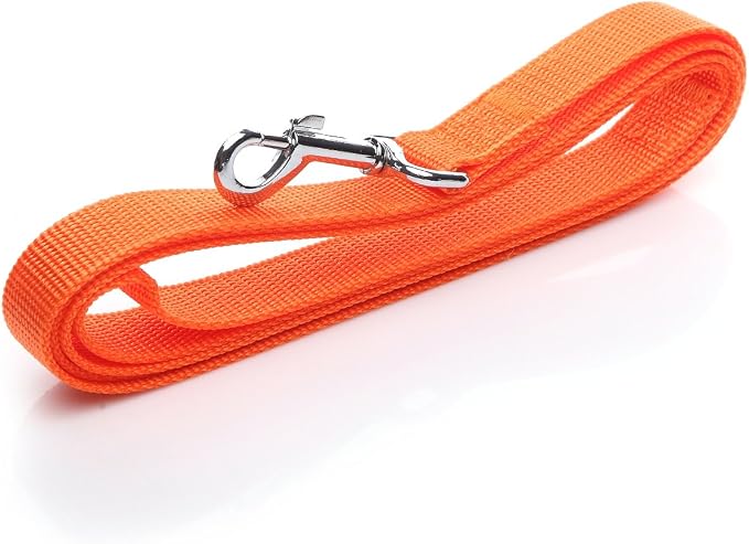 Nylon Dog Leash 4 Ft 5 Feet 6 Foot Long, Walking Training Dog Leashes for Medium Large Dogs, 1 Inch Wide(5ft, Orange) - Image 3