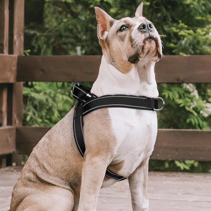 rabbitgoo Dog Harness No Pull, Quick Fit for Medium Sized Dog, Reflective | Chest Adjustable Pet Vest with Soft Padded Handle, No Choke Escape Proof for Walking Training, Black M - Image 9