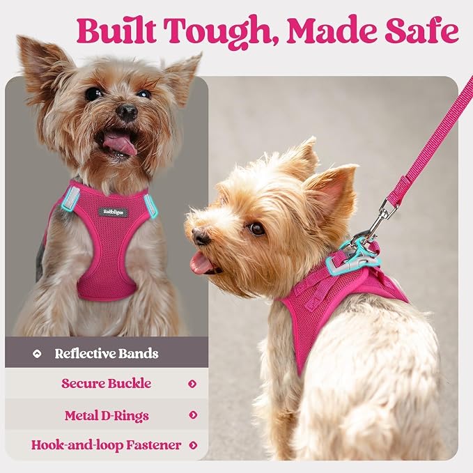 rabbitgoo Dog Harness Medium Sized and Leash Set, Step-in Puppy Pet Vest | Light, Soft, Breathable Air Mesh, Easy on and Remove with Hook & Loop, Secure Reflective for Walking, Rose Red XL - Image 7