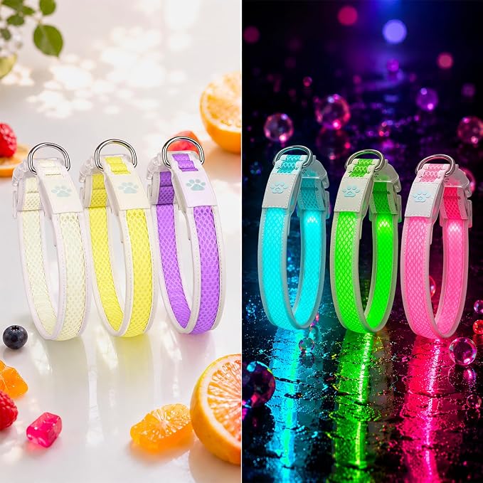 Multicolor LED Dog Collar USB-C Rechargeable, Light Up Dog Collar, Rainbow Gradient Glowing Dog Collar with 4 Light Modes, Adjustable Candy Mesh Pet Collar(Yellow, Small) by Unknown