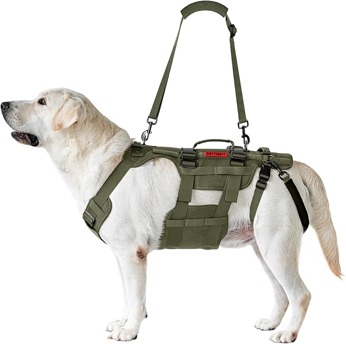 OneTigris Dog Lift Harness for Large Dogs, Dog Hip Support Brace, Full Body Lifter with Handles Invictus Multifunctional Mobility Assistance Vest for Back Legs (Green, Medium) - Image 6