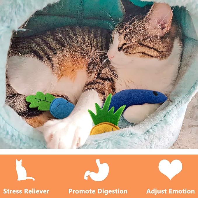 AWOOF Catnip Toys for Indoor Cats, 6 Pack Cat Chew Toys Plush Interactive Cat Kicker Toy for Indoor Kitten Exercise for All Breeds | 6 Pack Cat Chew Toys Plush, Interactive Cat Kicker Toy, For Kitten Exercise, For All Breeds - Image 4