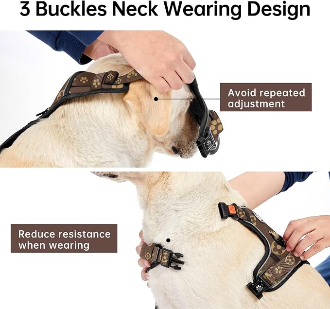 IVY&LANE No Pull Dog Harness with Leash Set, Reflective No Choke Pet Vest,Adjustable Oxford Dog Vest Harness with Easy Control Handle for Medium Dogs (Dark Brown,M) - Image 3