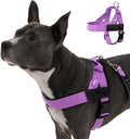 Dog Friendly Co. Dog Harness for Small Dogs, Adjustable (Purple, Extra Small) by DogFriendly