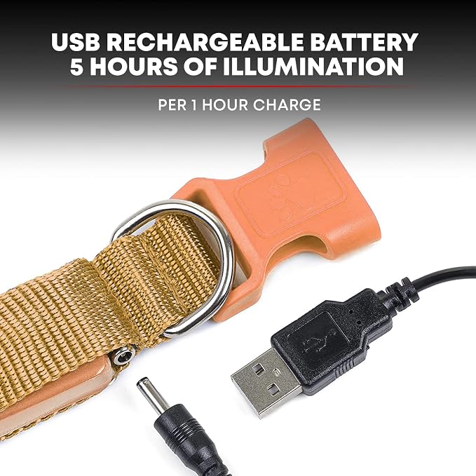 LED Dog Collar USB Rechargeable - Bright & High Visibility Lighted Glow Collar for Pet Night Walking - Weatherproof, in 6 Colors & 6 Sizes (Orange Large) - Image 5