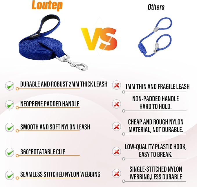 Long Line Dog Training Leash with Padded Handle, 20 ft, Blue | Durable nylon webbing with reinforced stitching and 360° swivel clip for recall and obedience - Image 6